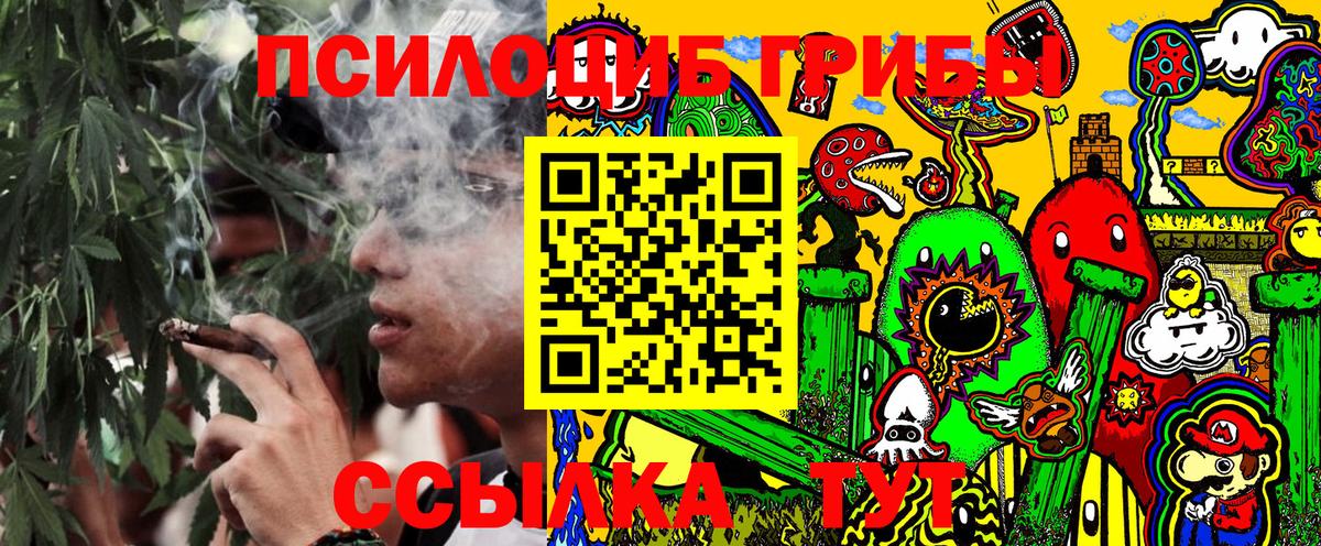 Псилоцибиновые грибы Cubensis Горно-Алтайск