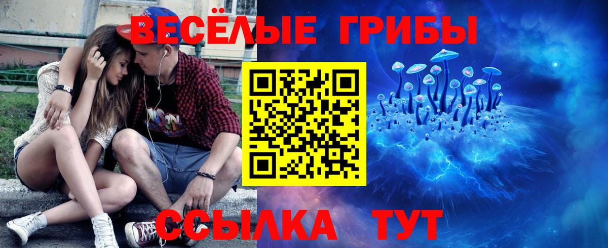 Псилоцибиновые грибы ЛСД  Вход с VPN  Горно-Алтайск 